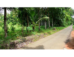 75 CENTS OF LAND FOR SALE AT MAMBRA, ERNAKULAM