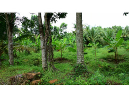 75 CENTS OF LAND FOR SALE AT MAMBRA, ERNAKULAM