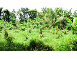 75 CENTS OF LAND FOR SALE AT MAMBRA, ERNAKULAM