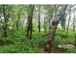 House Plot for sale in Estatemukk near Cherukattoor…..