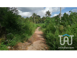 PLOT FOR SALE @ CHEMPAKAMANGALAM