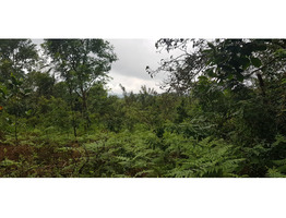 1.10 accer beautiful hill view land and house near main road for sail in wayanad