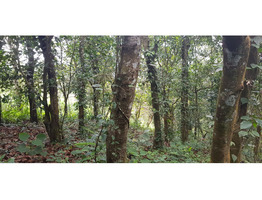 1.10 accer beautiful hill view land and house near main road for sail in wayanad