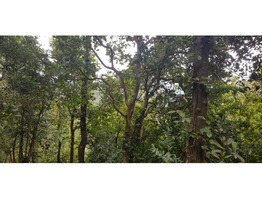 1.10 accer beautiful hill view land and house near main road for sail in wayanad