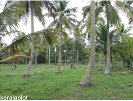 Want to sell Residential Plot in  Pandanad ,Chengannur, Alappuzha, Kerala