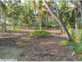 Want to sell Residential Plot in  Pandanad ,Chengannur, Alappuzha, Kerala