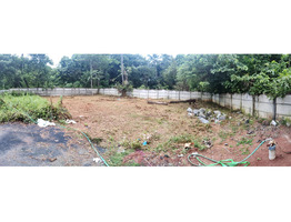 6.795 cent Residential Land for Sale in Velappaya, Thrissur,