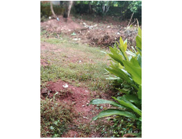 Plot available  in Thiruvalla