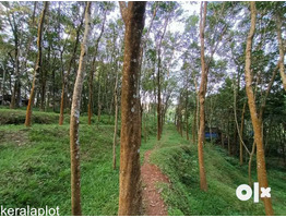 rubber plot -ready for tapping