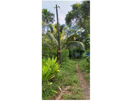 Residential Land for Sale in Kalloorkkad, Muvattupuzha, Ernakulam