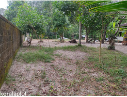 15 cents land for sale near Cherthala,Areeparambu Junction