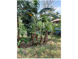 48.75 cents land and  house for sale near vilangoor center,thrissur district