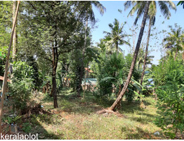 48.75 cents land and  house for sale near vilangoor center,thrissur district