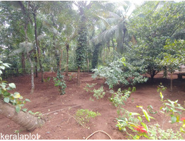 85 Cents plot for sale at Ottapalam