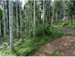 40 cent Land For Sale In Koleri Kenichira Wayanad