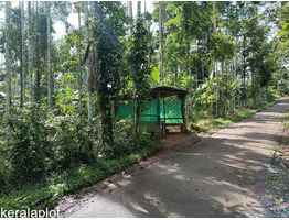 40 cent Land For Sale In Koleri Kenichira Wayanad