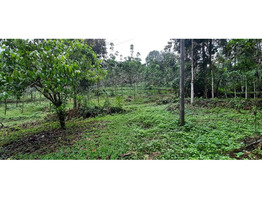 84 CENT GREEN LAND FOR SELLING