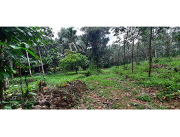 84 CENT GREEN LAND FOR SELLING