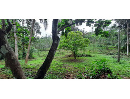 84 CENT GREEN LAND FOR SELLING