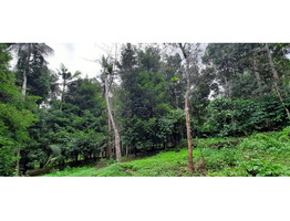 84 CENT GREEN LAND FOR SELLING