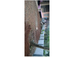 13.5 CentResidential House Villa for Sale at  Chakkuvally,Kollam