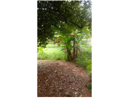 28.5 cents land with 1750 Sqft  House for sale 4km away from pala town