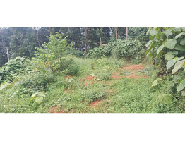 15 cent land for sale at  Vempilly ,Ernakulam