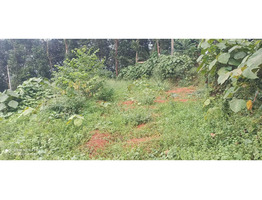 15 cent land for sale at  Vempilly ,Ernakulam