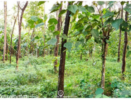 Residential Land for Sale  , 23 Cents of land in Peechi Village Thrissur Taluk .