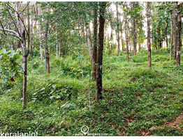 Residential Land for Sale  , 23 Cents of land in Peechi Village Thrissur Taluk .