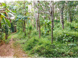 Residential Land for Sale  , 23 Cents of land in Peechi Village Thrissur Taluk .