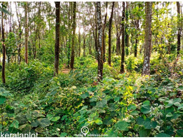 Residential Land for Sale  , 23 Cents of land in Peechi Village Thrissur Taluk .