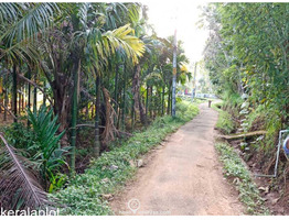 Residential Land for Sale  , 23 Cents of land in Peechi Village Thrissur Taluk .