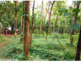 Residential Land for Sale  , 23 Cents of land in Peechi Village Thrissur Taluk .