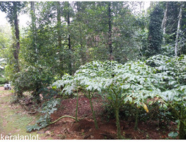 36  Land for Sale at  Marady, Muvattupuzha, Ernakulam