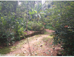 36  Land for Sale at  Marady, Muvattupuzha, Ernakulam