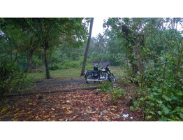 33 cent with .Beach frontage property for sale at South Mararikulam