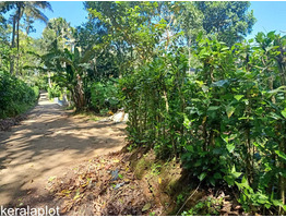 1 acre  land for sale near SN junction in Idukki district