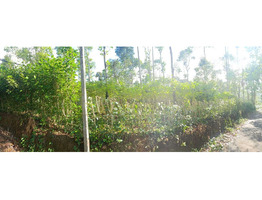 1 acre  land for sale near SN junction in Idukki district