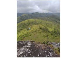 49 cents land and house for sale near vagamon in idukki district.