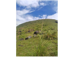 49 cents land and house for sale near vagamon in idukki district.