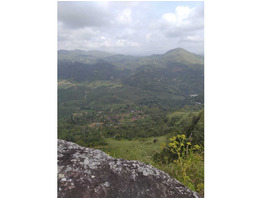 49 cents land and house for sale near vagamon in idukki district.