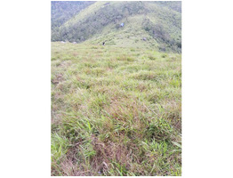 49 cents land and house for sale near vagamon in idukki district.