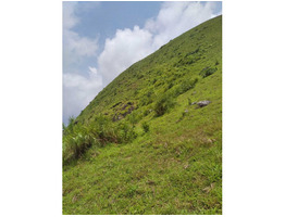 49 cents land and house for sale near vagamon in idukki district.