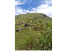 49 cents land and house for sale near vagamon in idukki district.