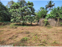 80 cent Residential Land for Sale  ) Vadakkummuri  Thodupuzha Idukki District