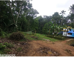 97 cent land and house for sale at Elanji, koothattukulam,Ernakulam dis.