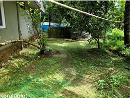 24.8 cent plot with house in Panaikulam near kalamassery for sale