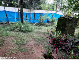 24.8 cent plot with house in Panaikulam near kalamassery for sale