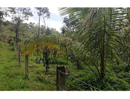 Plot  for sale in Wayanad